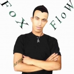 Fox flow